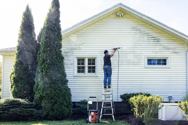 Best House Exterior Washing  in Hammond, LA